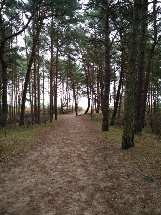 Ferienwohnung Am Kustenwald Trassenheide Dış mekan fotoğraf